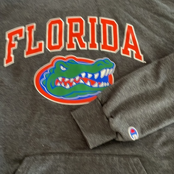 University of Florida Gators Hoodie size Large champion - Picture 4 of 4